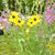 Lynda Glover-Allen's profile image