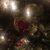 Jill Williams Mounteer's profile image