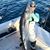Noah Collins's profile image