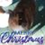 Lisa Karyl Smith's profile image