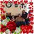 Cindy Crow Wyatt's profile image
