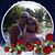 Neal Young's profile image