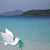 Dawn Kirby's profile image