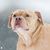 Vinny Carchietta's profile image