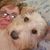 Marci Morse's profile image
