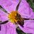 Barbara Russell's profile image
