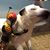 Janel Sheerin's profile image