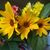 Shirley Kapala's profile image