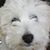 Nerina Felumero's profile image