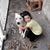 Sally Bear's profile image