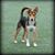 Amy Swink Stephenson's profile image