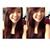 Quynh Doan's profile image