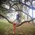 Lindsay Lawrence Aggen's profile image