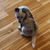 Pam Gipson's profile image
