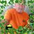 Art Nicholas's profile image