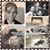 Maribea Jackson-leano's profile image