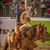 Jose Figueroa's profile image