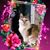 Paula Dillon's profile image