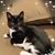 Lynnelle Beaver's profile image