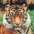 Barry King's profile image