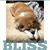 Lisa Castiglione Ortenzo's profile image