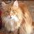 Glenda Spivey Robair's profile image