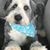 Jane Spencer's profile image