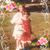 Lorrie Grogg's profile image