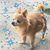 Angela Vogel Aylward's profile image
