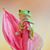 Cindy Strang's profile image