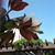Christina Rodriguez's profile image