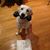Mary Ann Giandonato's profile image