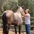 Darlene Holmen Gunter's profile image