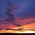Terri Brewer Davis's profile image
