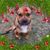 Lisa King Smith's profile image