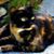 Judy Taylor's profile image