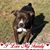 Kimm Jacobs's profile image