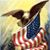 Mike Bass's profile image