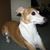 Ann Smith's profile image