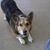 Kristy Eller's profile image