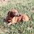 Susan Maidel's profile image