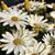 Renita LeFevre's profile image