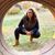 Courtney Bazarian's profile image