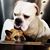 Carole Ann's profile image