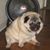 Sharon Malarski-Pritt's profile image