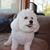 Sandie Granatir Cheek's profile image