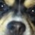 Joshua Alexander's profile image