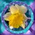 Sheila Fiene's profile image