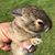 Linda Haack's profile image