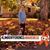 Cally Lampe's profile image